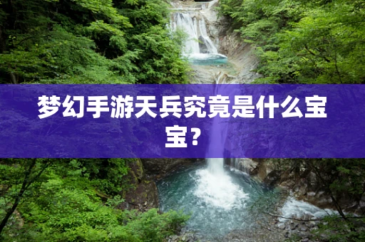 梦幻手游天兵究竟是什么宝宝？