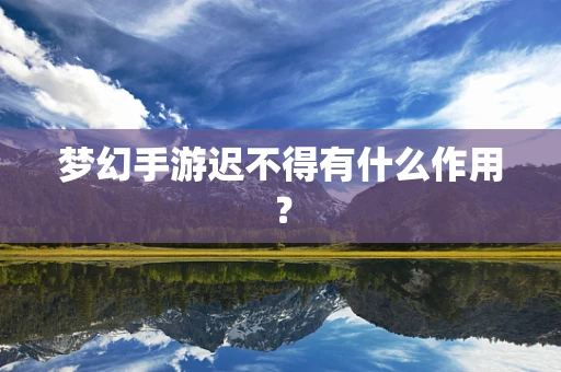 梦幻手游迟不得有什么作用？