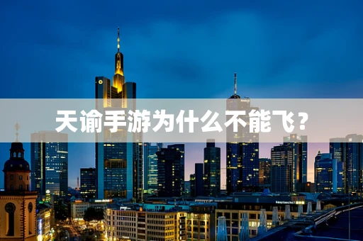 天谕手游为什么不能飞？