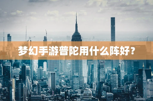 梦幻手游普陀用什么阵好？