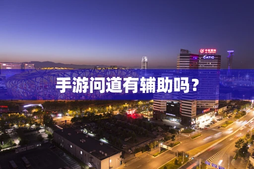 手游问道有辅助吗？