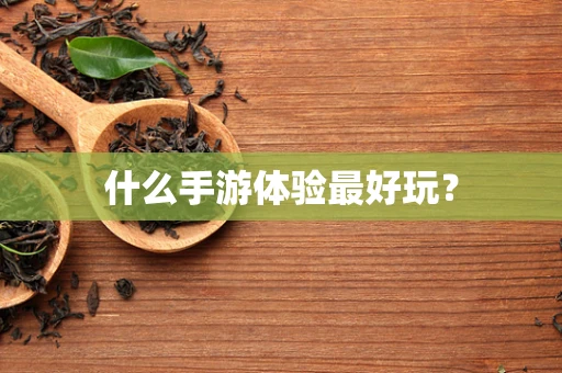 什么手游体验最好玩？