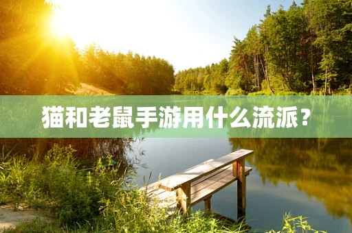 猫和老鼠手游用什么流派？