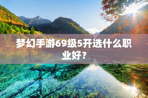 梦幻手游69级5开选什么职业好？