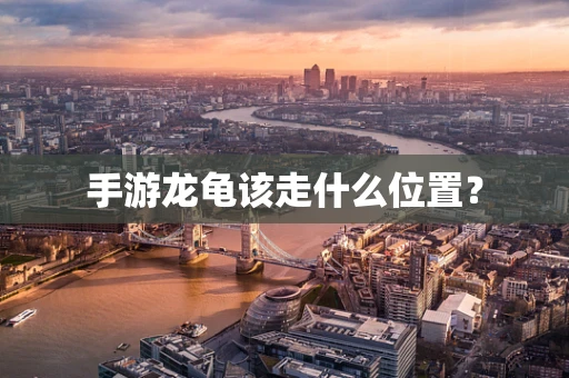 手游龙龟该走什么位置？
