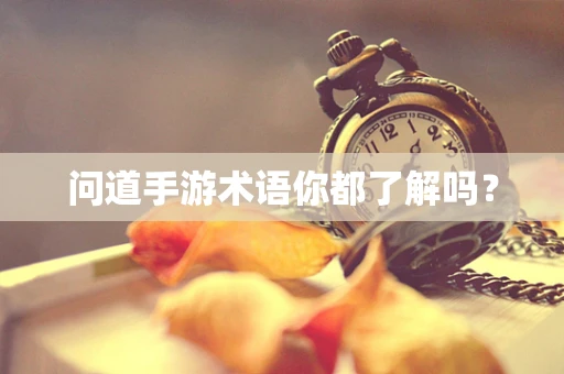 问道手游术语你都了解吗？