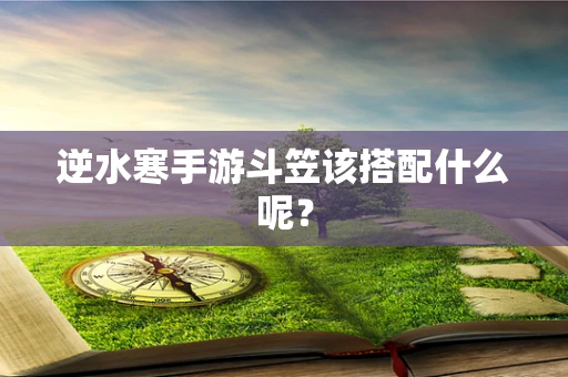 逆水寒手游斗笠该搭配什么呢？