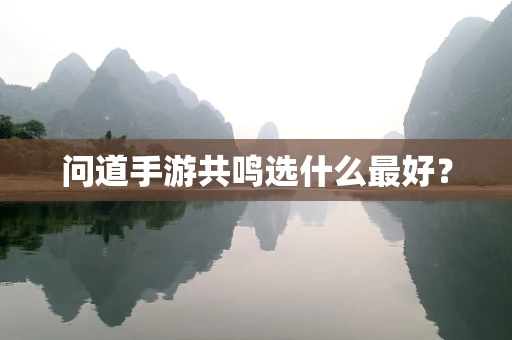 问道手游共鸣选什么最好？