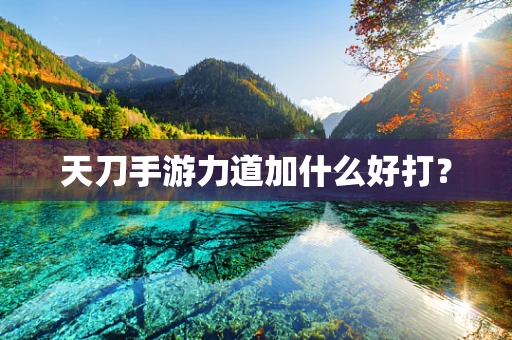 天刀手游力道加什么好打？