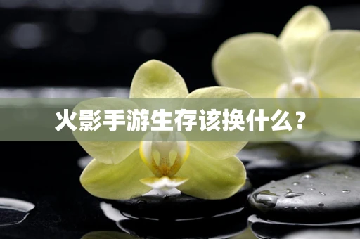火影手游生存该换什么？