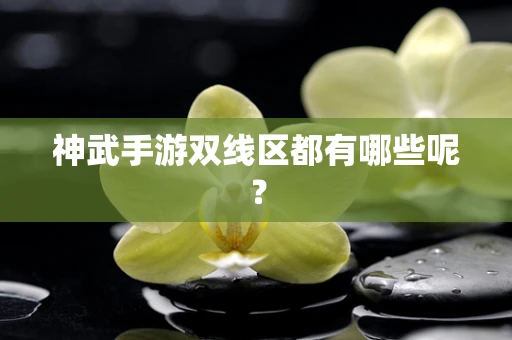 神武手游双线区都有哪些呢？