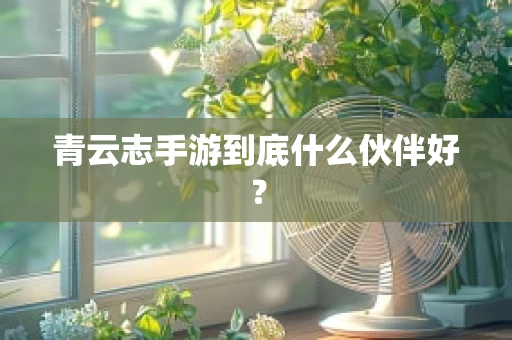 青云志手游到底什么伙伴好？