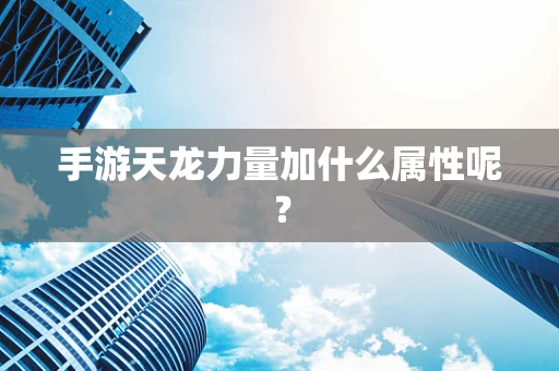 手游天龙力量加什么属性呢？