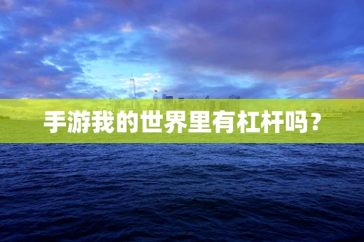 手游我的世界里有杠杆吗？