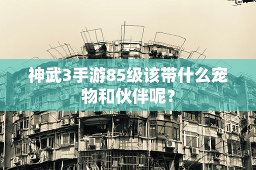 神武3手游85级该带什么宠物和伙伴呢？