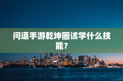 问道手游乾坤圈该学什么技能？