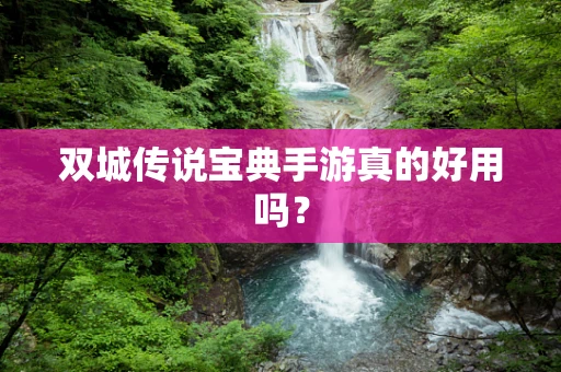 双城传说宝典手游真的好用吗？