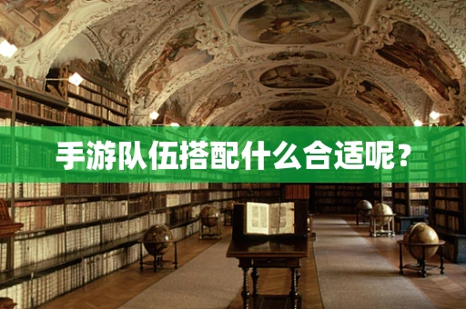 手游队伍搭配什么合适呢？