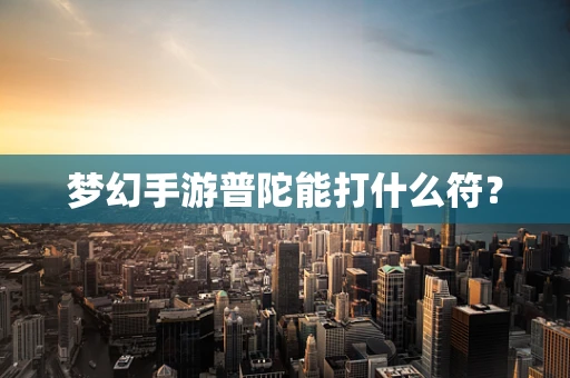 梦幻手游普陀能打什么符？