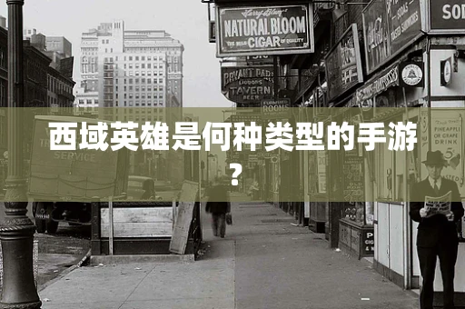 西域英雄是何种类型的手游？
