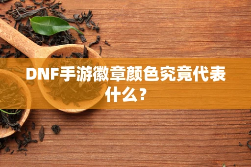 DNF手游徽章颜色究竟代表什么？