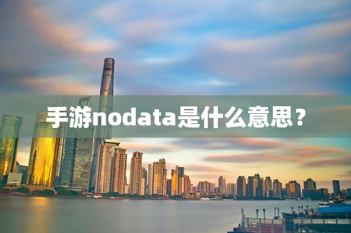 手游nodata是什么意思？