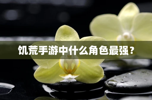 饥荒手游中什么角色最强？