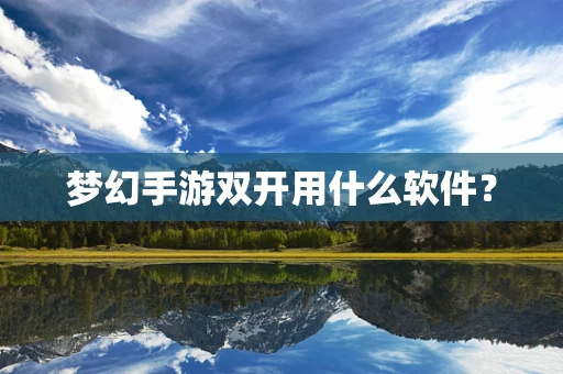 梦幻手游双开用什么软件？