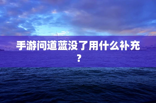 手游问道蓝没了用什么补充？
