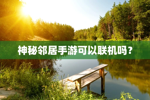神秘邻居手游可以联机吗？