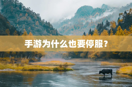 手游为什么也要停服？