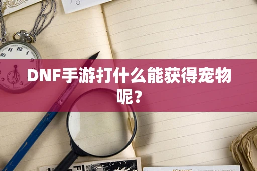 DNF手游打什么能获得宠物呢？