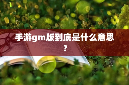 手游gm版到底是什么意思？