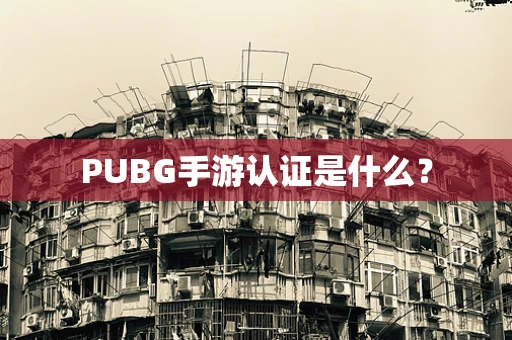 PUBG手游认证是什么？