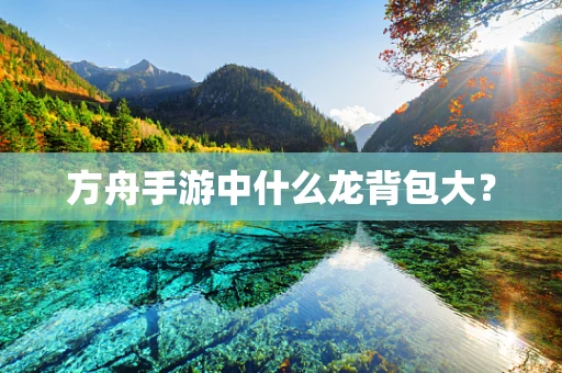 方舟手游中什么龙背包大？