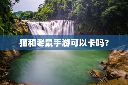猫和老鼠手游可以卡吗？