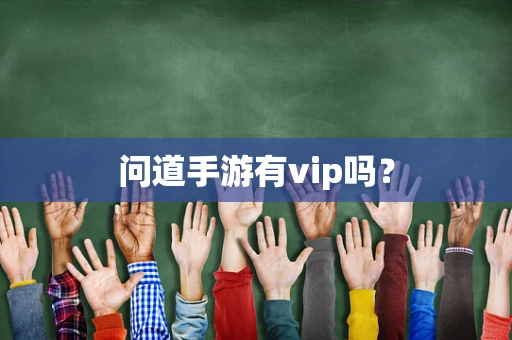问道手游有vip吗？