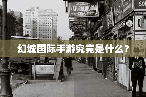 幻城国际手游究竟是什么？