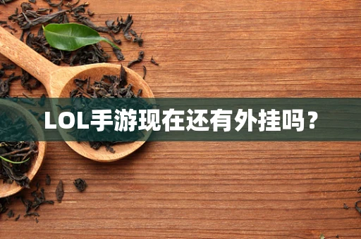 LOL手游现在还有外挂吗？