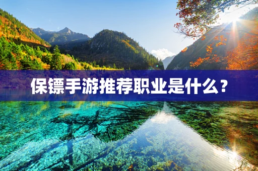 保镖手游推荐职业是什么？