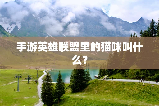 手游英雄联盟里的猫咪叫什么？