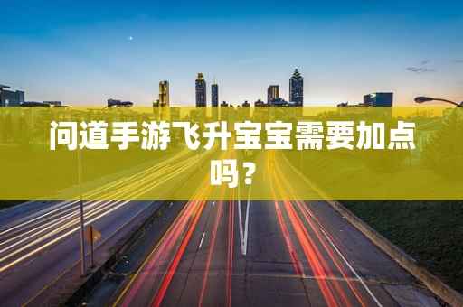 问道手游飞升宝宝需要加点吗？