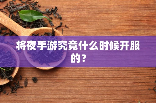 将夜手游究竟什么时候开服的？