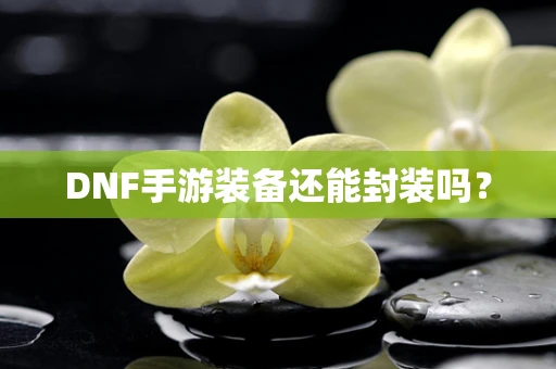 DNF手游装备还能封装吗？
