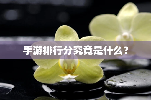 手游排行分究竟是什么？