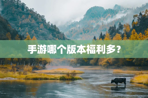 手游哪个版本福利多？