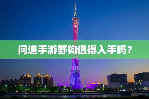 问道手游野狗值得入手吗？