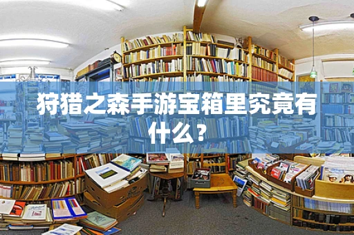狩猎之森手游宝箱里究竟有什么？