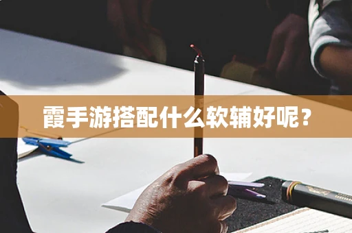 霞手游搭配什么软辅好呢？