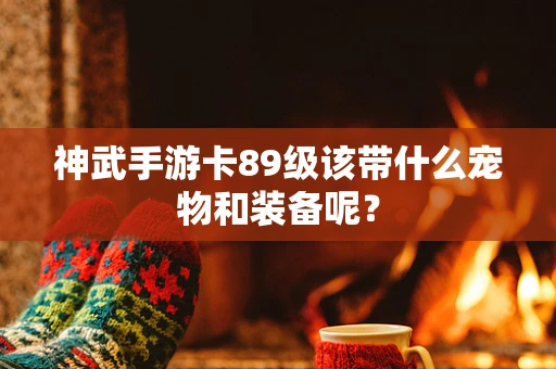 神武手游卡89级该带什么宠物和装备呢？